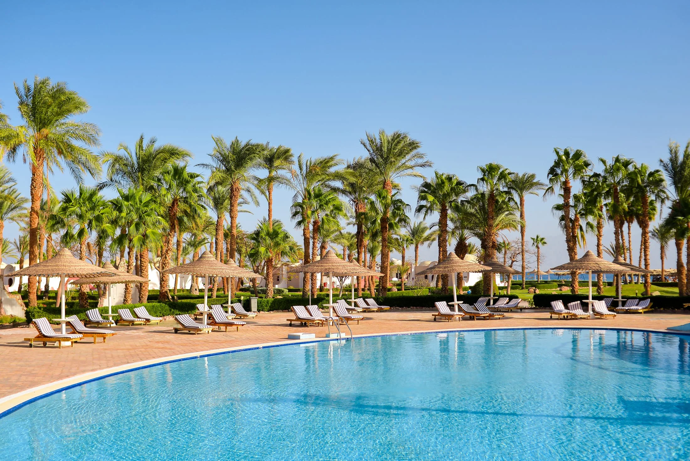 TIME Coral Nuweiba Resort — photo 14
